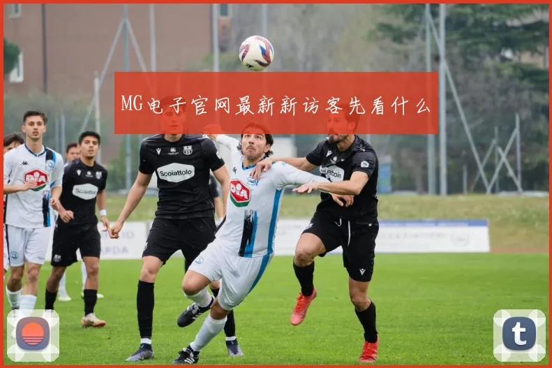 MG电子官网最新新访客先看什么