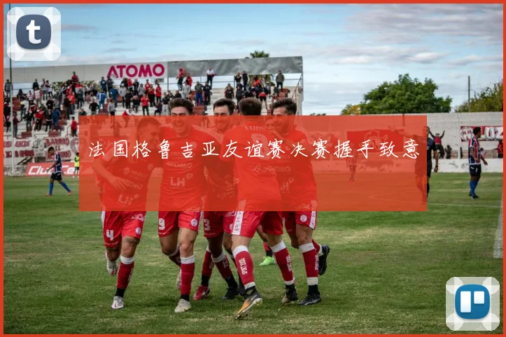 法国格鲁吉亚友谊赛决赛握手致意
